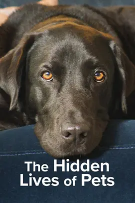 宠物的秘密生活 The Hidden Lives of Pets (2022)