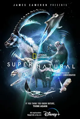 超/自然 Super/Natural (2022)