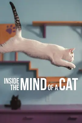 喵星人的奇思妙想 Inside the Mind of a Cat (2022)