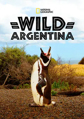 狂野阿根廷 Wild Argentina (2017)